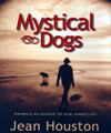 Mystical Dogs